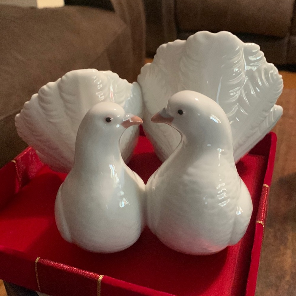 Practically brand new loving doves.